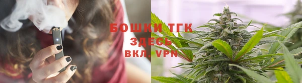 ПСИЛОЦИБИНОВЫЕ ГРИБЫ Алзамай